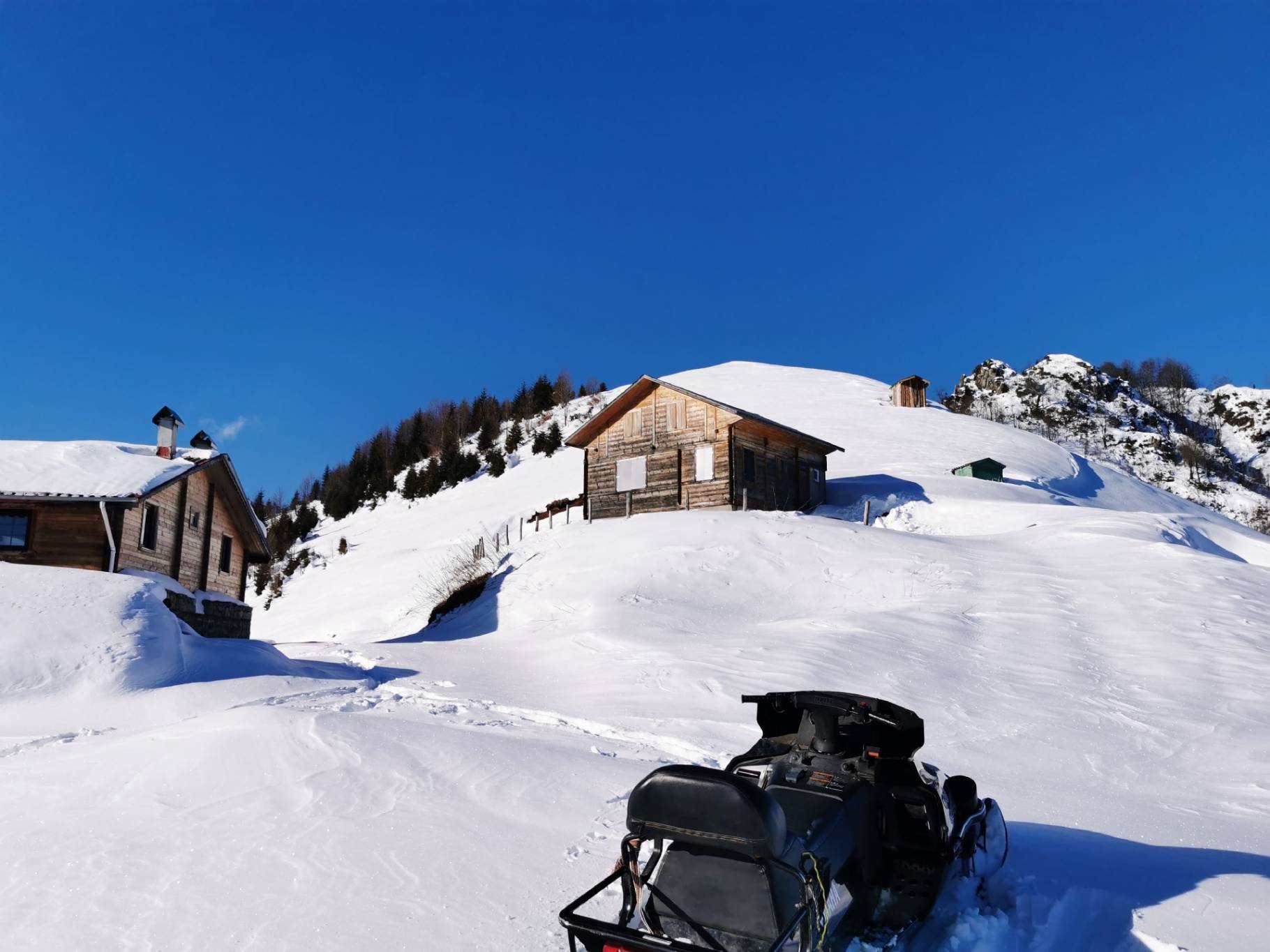 IMG 20211231 100349 Original